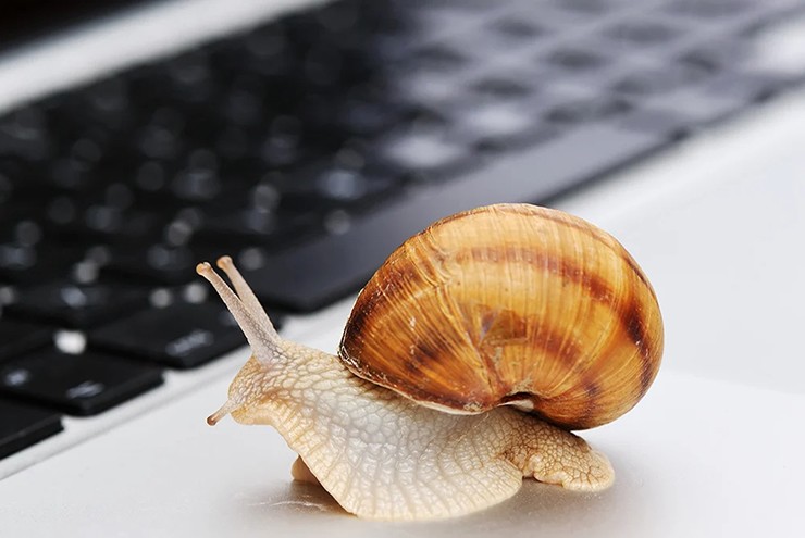 1-1759769615-648-width740height495